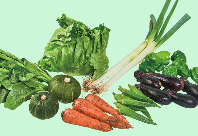 パルシステム有機野菜おためしセット