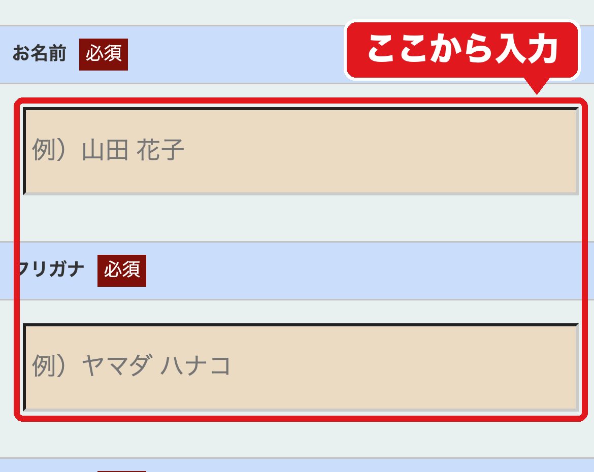 フィシュル申し込みフォームのお客様情報の入力欄