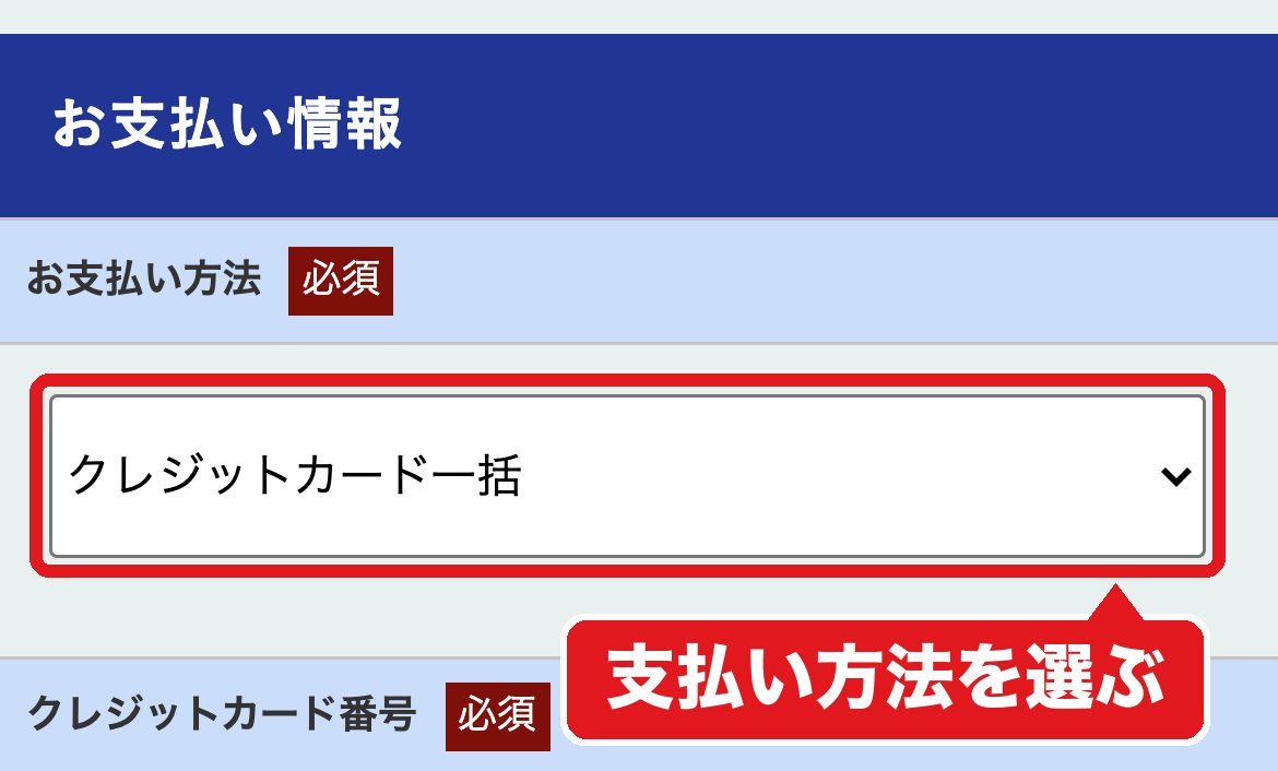 フィシュル申し込みフォームの支払い方法の選択欄